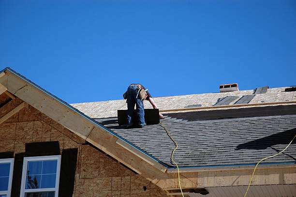 Best Roof Gutter Cleaning  in Salix, PA
