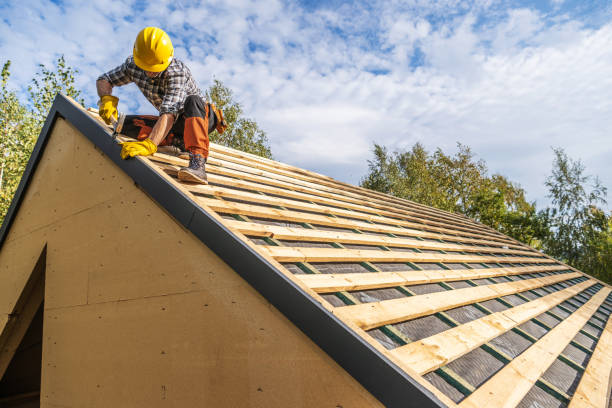 Roof Gutter Cleaning in Salix, PA